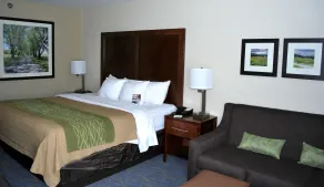 Comfort Inn Woodstock Shenandoah - Værelse