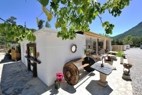 Pitahaya Home - Recepción