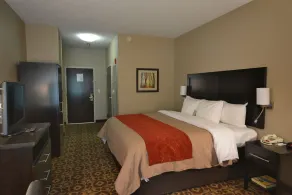 Comfort Inn & Suites Trussville I-59 Exit 141 - Chambre
