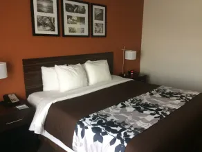 Sleep Inn & Suites And Conference Center Downtown - Chambre