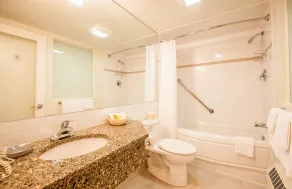 Dundee Arms Inn - Salle de bain