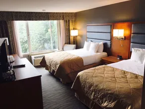 Wyndham Garden Greensboro - Chambre
