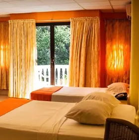Alicia's Palace - Room