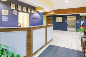 Microtel Inn & Suites - Hall