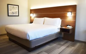 Holiday Inn Express & Suites Albany by IHG - Chambre