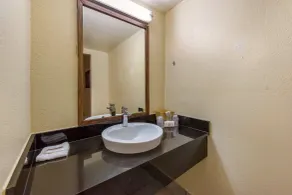 Red Roof Inn Plano - Salle de bain