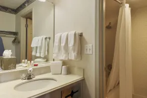 Economy Inn & Suites - Salle de bain