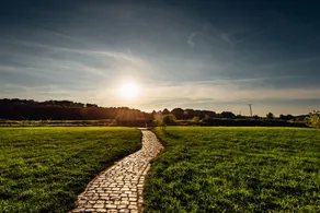 Erlebnishotel "Zur Schiffsmühle" GmbH - Udsigt fra værelset