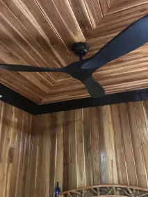 Tropical Magnolia - Room