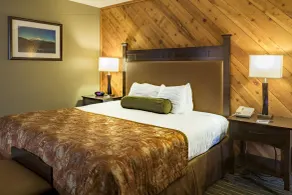 Best Western Plus Tree House - Chambre