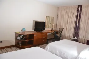 Hilton Garden Inn Konya, Turkey - Habitación