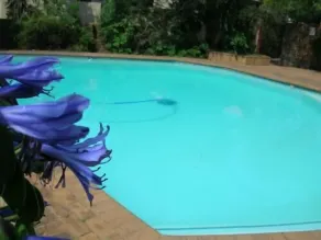 Elizabeth Lodge - Pool