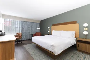 Hampton Inn Miami-Coconut Grove/Coral Gables - Chambre