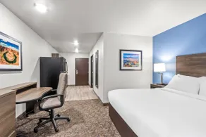 Sonesta Simply Suites Avondale - Chambre