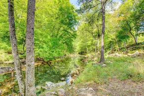 Creek Access, Fire Pit & Grill: Summerville Studio - Interiør