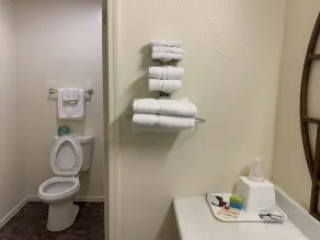 Economy Inn - Salle de bain