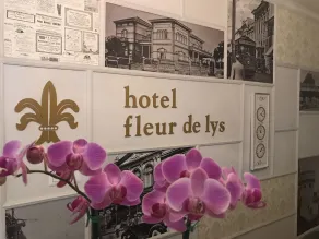 Fleur de Lys - Réception