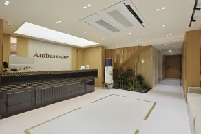 The Ambassador - Réception