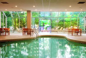 Embassy Suites by Hilton Cincinnati Northeast Blue Ash - Piscine