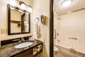 Econo Lodge Mayo Clinic Area - Salle de bain