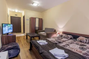 Forest Glade - Room