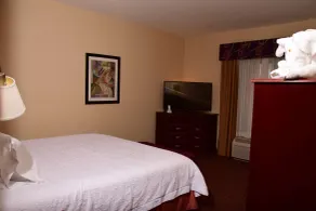 Hampton Inn Indiana - Chambre