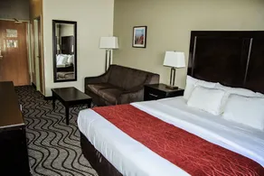 Comfort Inn & Suites Fruita - Grand Junction - Chambre