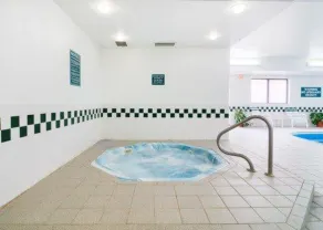 Comfort Inn Morris I-80 - Piscine