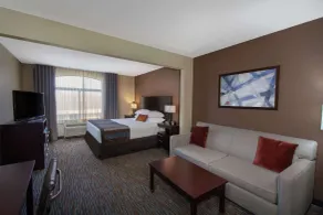 Wingate by Wyndham Oklahoma City Airport - Chambre