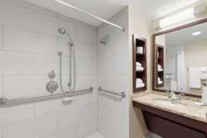 Holiday Inn Knoxville West - Cedar Bluff Rd by IHG - Salle de bain