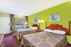Ashland Studio Inn Richmond North near Kings Dominion -Listing Partner - Chambre