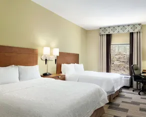 Hampton Inn & Suites Birmingham East Irondale - Chambre