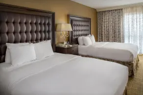 Hilton St. Louis Airport - Chambre