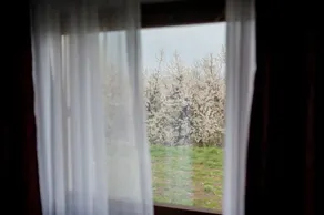 Rodizio Hill Resort - View from room