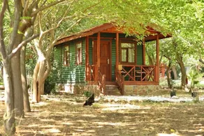 Eden Bungalows and Beach - Room