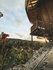 Kalma Bamboo Eco Lodge - Property grounds