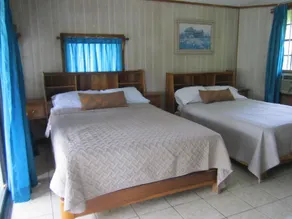 Coconut Tree West End - Room