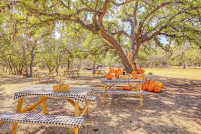 Rescue Ranch Retreat w/ Goats, Horses & Chickens! - Interiør