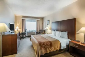 Comfort Inn & Suites Seattle North - Chambre