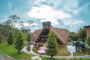 Selva Ecospa Wellness Stay - Reception