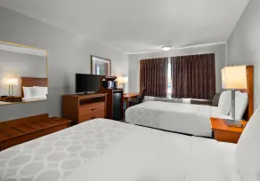 Park Inn by Radisson, Detroit Metro Airport - Værelse
