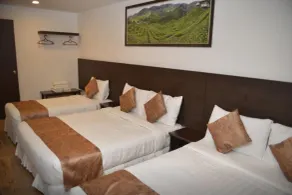 Highlanders Hotel - Chambre