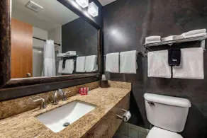 SureStay Plus Hotel by Best Western Buffalo - Badeværelse