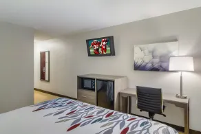 Red Roof Inn I-95 North Brunswick Darien - Habitación