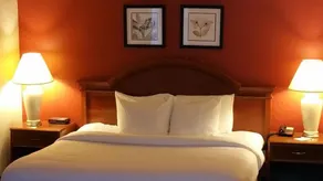 Extended Studio Suites Hotel- Bossier City - Zimmer