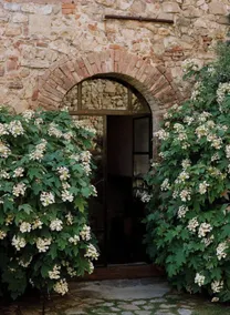 Castello Di Vicarello - Réception
