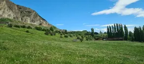 Austral Patagonian Lodge - Diversos