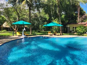 Residence Maison Müge - Pool