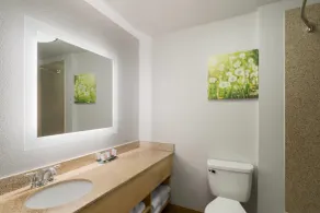 La Quinta Inn & Suites by Wyndham Tucumcari - Salle de bain