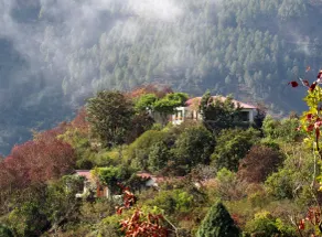 Auranya - The Himalayan jungle retreat - Image 1
